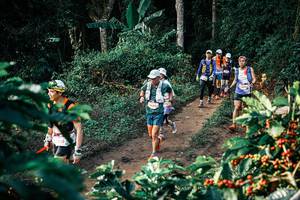 BIB: 
                            <button type="button" onclick="openModal(25825717)" class="btn btn-primary btn-sm float-right btn-popup" data-toggle="modal" data-target=".modal-high-quality">
                        <i class="fas fa-shopping-cart"></i> Add to Cart
                    </button>
                                            <button type="button" onclick="isThisMe(25825717, true)" class="btn btn-success btn-sm float-right btn-popup btn-isme hidden" data-toggle="tooltip" data-placement="bottom" title="นี่คือรูปของคุณใช่ไหม คลิกที่นี่เพื่อเอาเข้าอัลบั้ม">
                        <i class="fas fa-plus"></i> Add to album
                    </button>
                    <button type="button" onclick="isThisMe(25825717, false)" class="btn btn-warning btn-sm float-right btn-popup btn-isnotme hidden">
                        <i class="fas fa-ban"></i> Remove from album
                    </button>